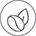 icn_semence